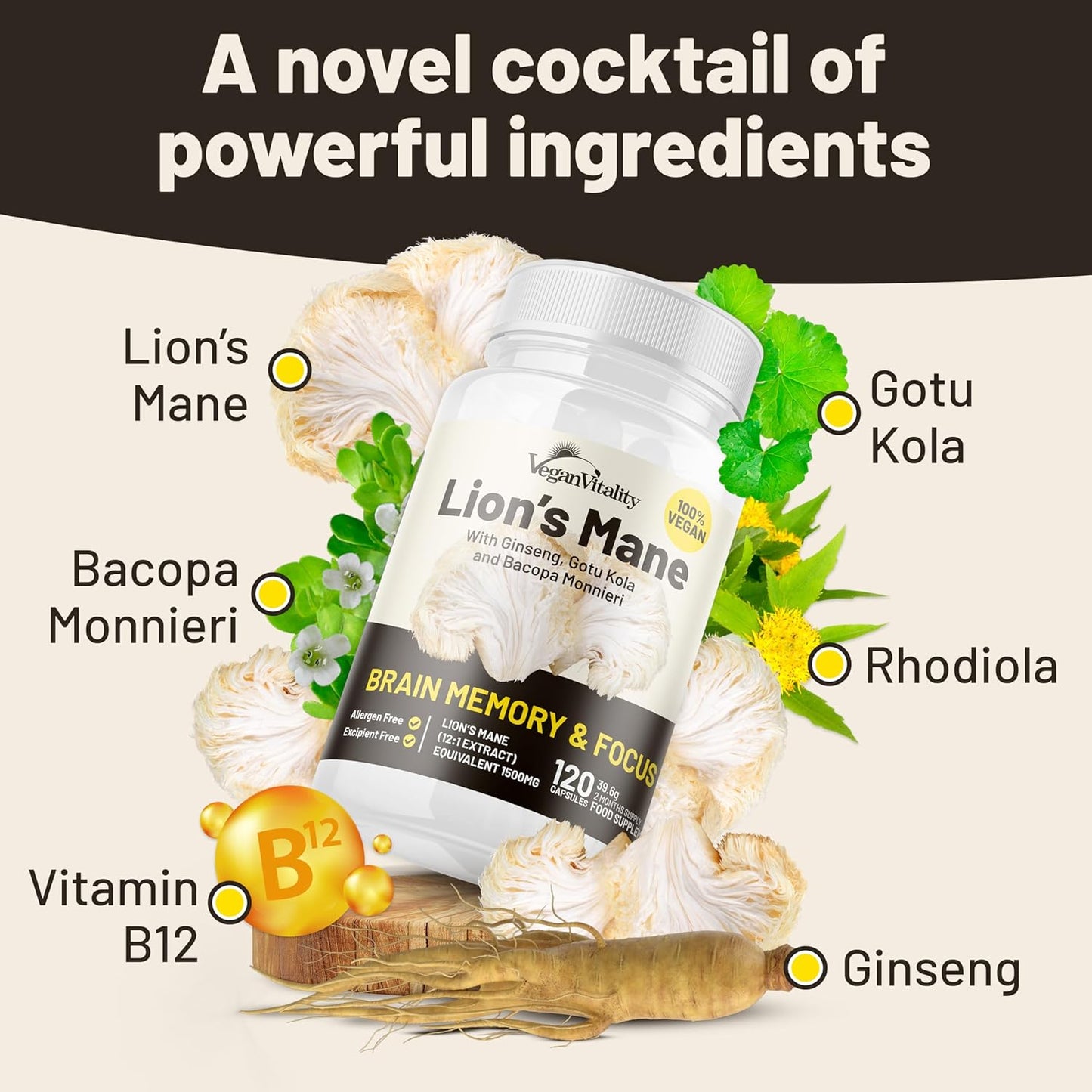6 Month Vegan Wellness Bundle: Multivitamins, Lion's Mane, Vitamin D3 K2, Omega 3 Algae Oil, Collagen Booster for Complete Vitality