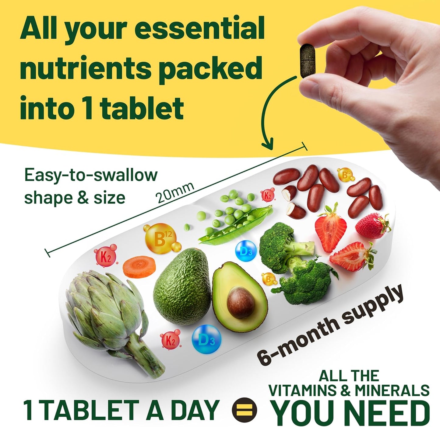 6 Month Vegan Wellness Bundle: Multivitamins, Lion's Mane, Vitamin D3 K2, Omega 3 Algae Oil, Collagen Booster for Complete Vitality