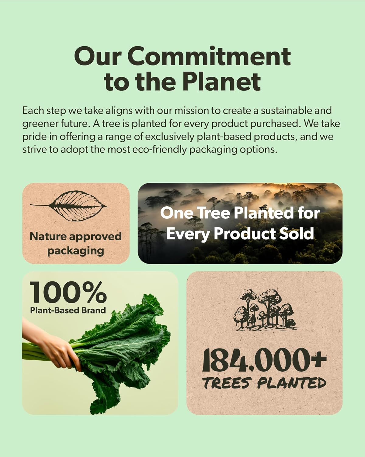 60 & 180 Softgels Bundle: Vegan Omega 3 with B Complex Vitamins - Plant Based DHA & EPA Fatty Acids, Whole Food Blend