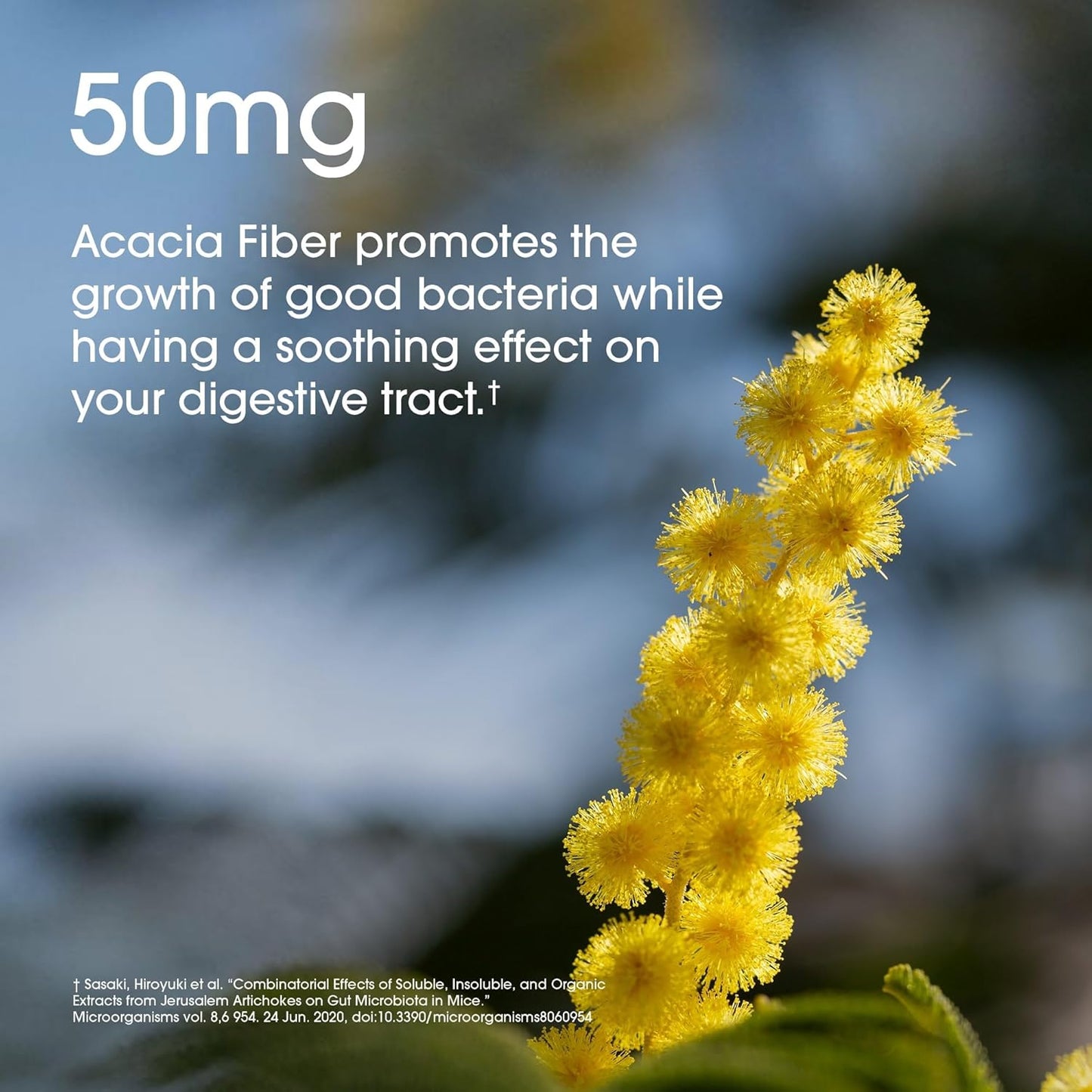 60 Billion CFU Probiotic for Men and Women - Digestive & Immune Support with Prebiotics, Gut Health Supplement - 30 Capsules