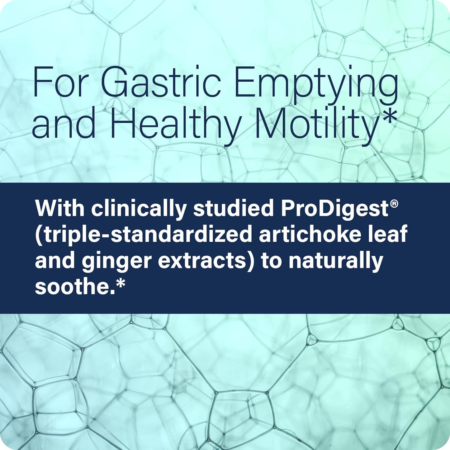 60 Capsules Enzyme Science GI Motility Complex - Natural Digestive Enzyme Support for Gut Health - Boosts Gastrointestinal Motility and Transport - Supports Small Bowel and Stomach Health
