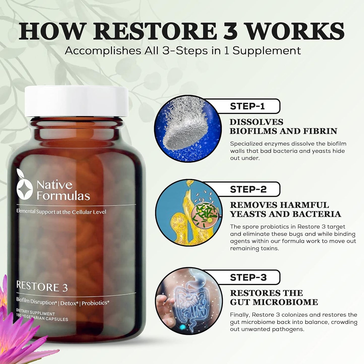 60 Capsules Native Formulas Restore 3 Enzyme & Probiotic Supplement - Biofilm Disruption Aid for GI Health, Fibromyalgia, Gut Flora
