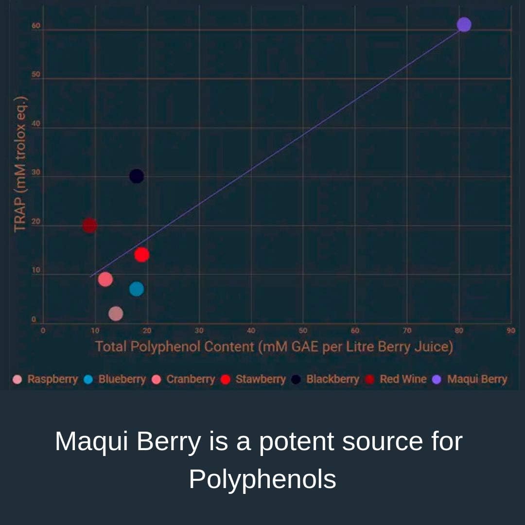 60 Capsules of Noomadic Maqui Berry with 500mg Each - High Antioxidant (ORAC) Support for Immune System, Tear Production, and Dry Eyes - Standardized Extract with 10% Anthocyanins
