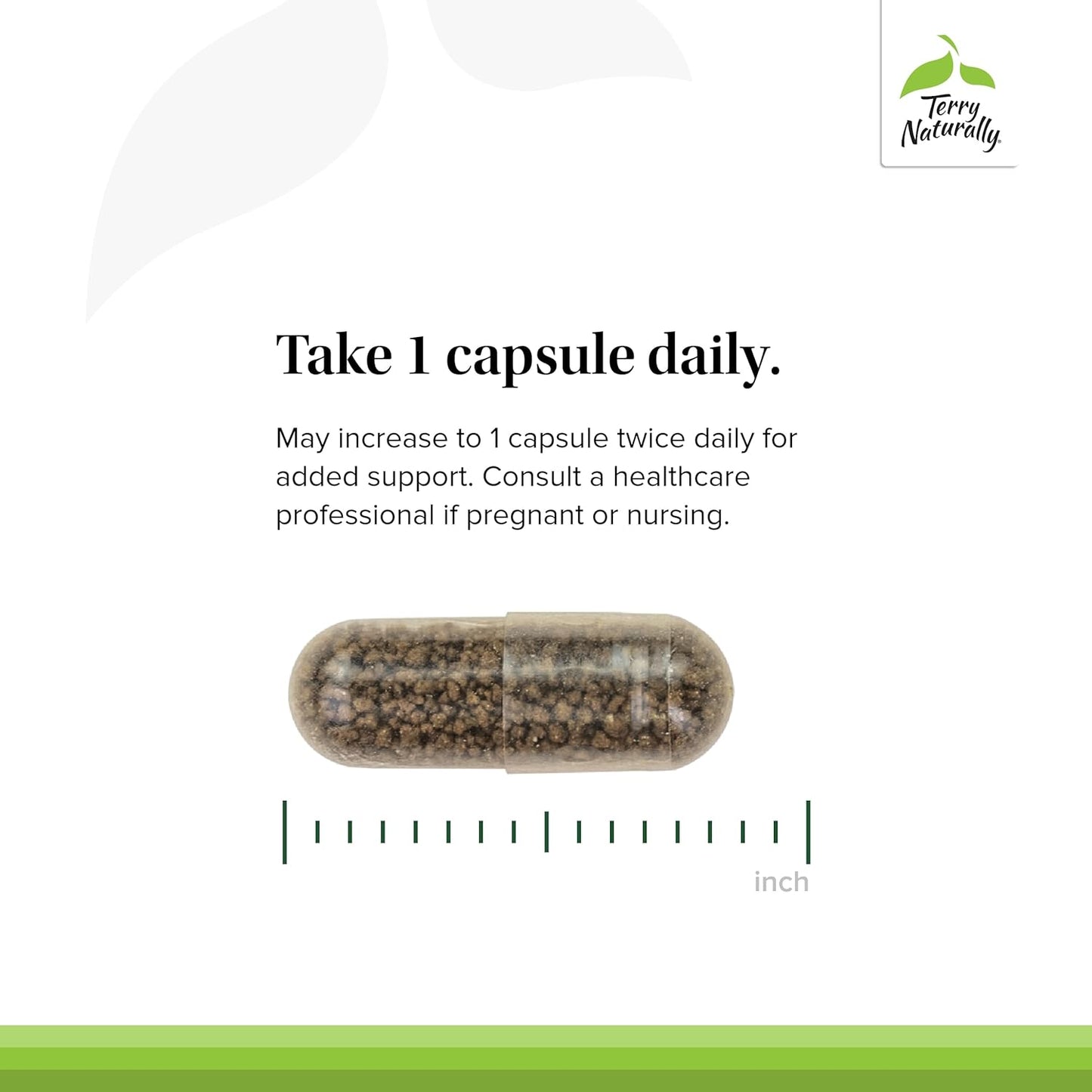 60 Capsules of Terry Naturally Vectomega - Omega-3 from Salmon with EPA & DHA - Non-GMO, Gluten Free - 60 Servings