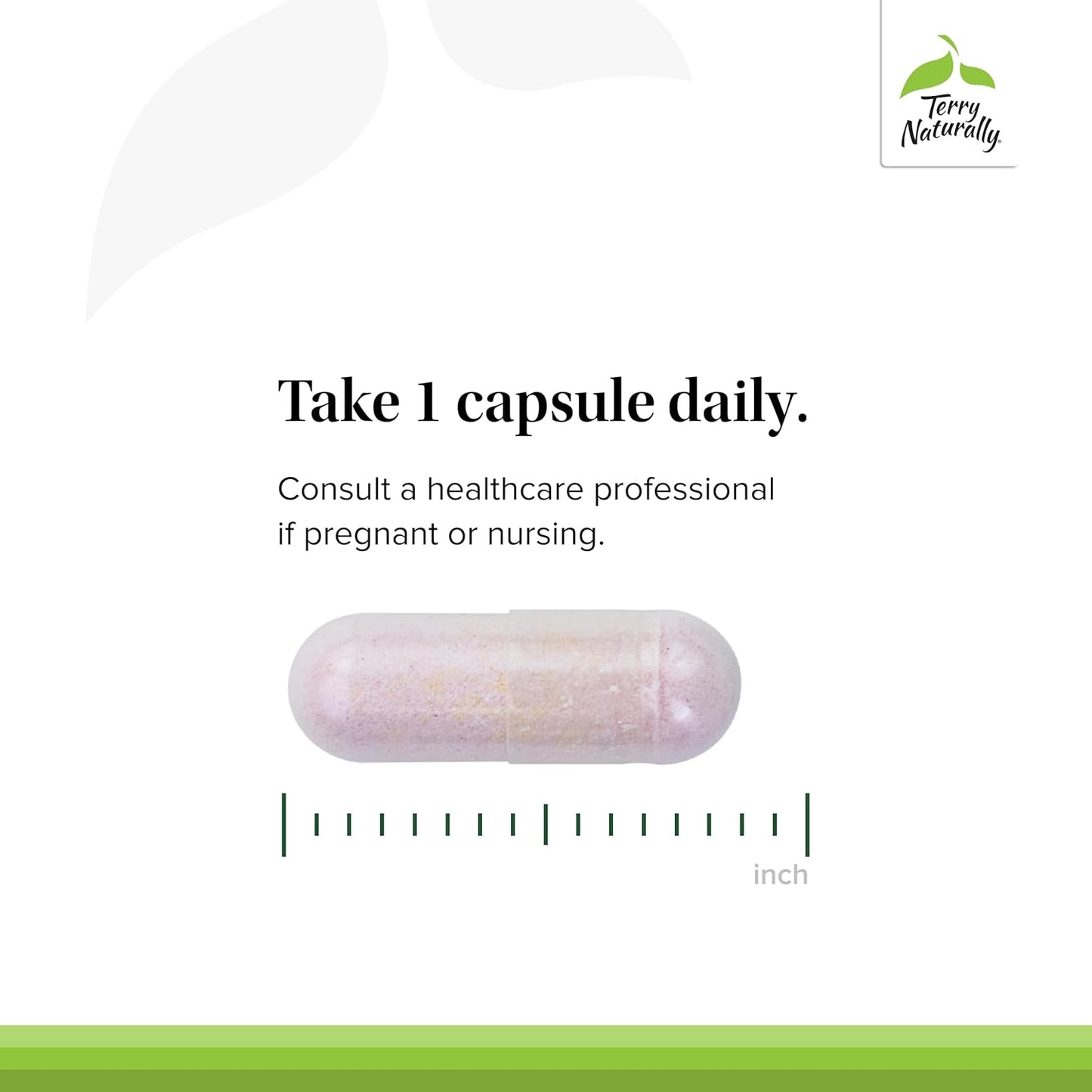 60 Capsules Terry Naturally BioActive Vitamin B - Biologically Active B12, Folate, & B6 - Non-GMO, Vegan, Gluten Free - 60 Servings
