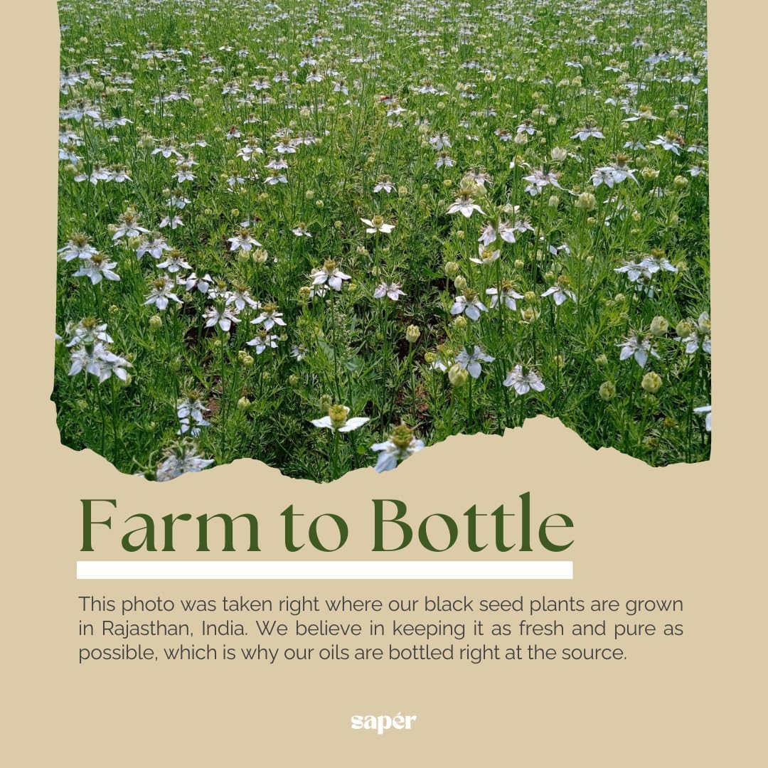 60-Count Black Seed Oil Capsules with Curcumin, Ginger, and Piperine for Immune Support and Joint Health