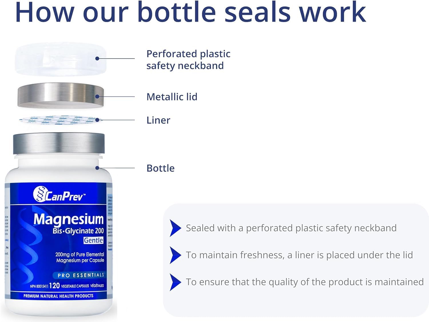 60 Count CanPrev Synergy B-Complex with L-Theanine Vegetarian Capsules for Energy and Focus