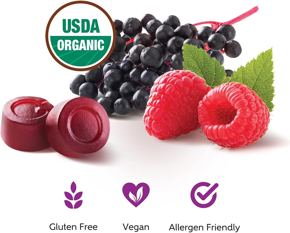 60 Count GO ORGANIC Elderberry Immunity Gummies for Dietary Immune Support