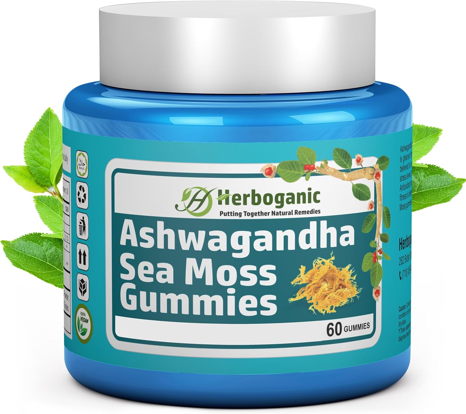 60 Count HERBOGANIC Ashwagandha Sea Moss Gummies for Natural Wellness