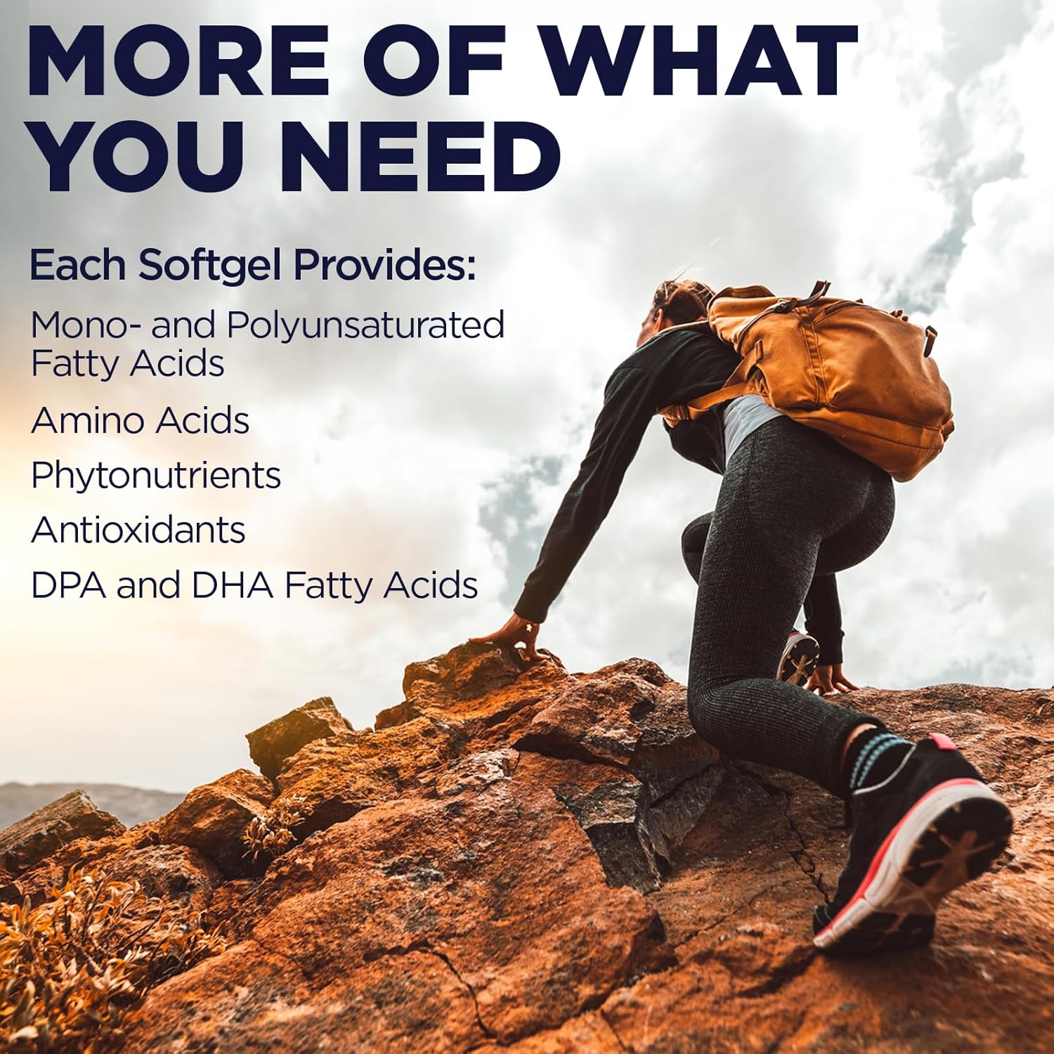 60 Count KAL Red Yeast Rice with COQ10 and Omega 3 Supplement