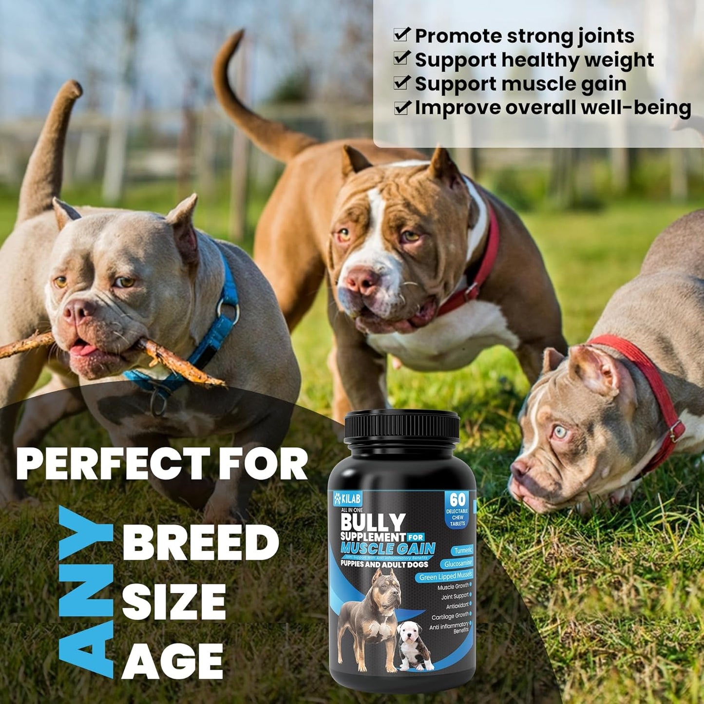 60-Count Kilab Dog Weight Gainer with Muscle Growth Formula for Dogs and Puppies - Supplement with Turmeric, Glucosamine, and Green Lipped Mussels