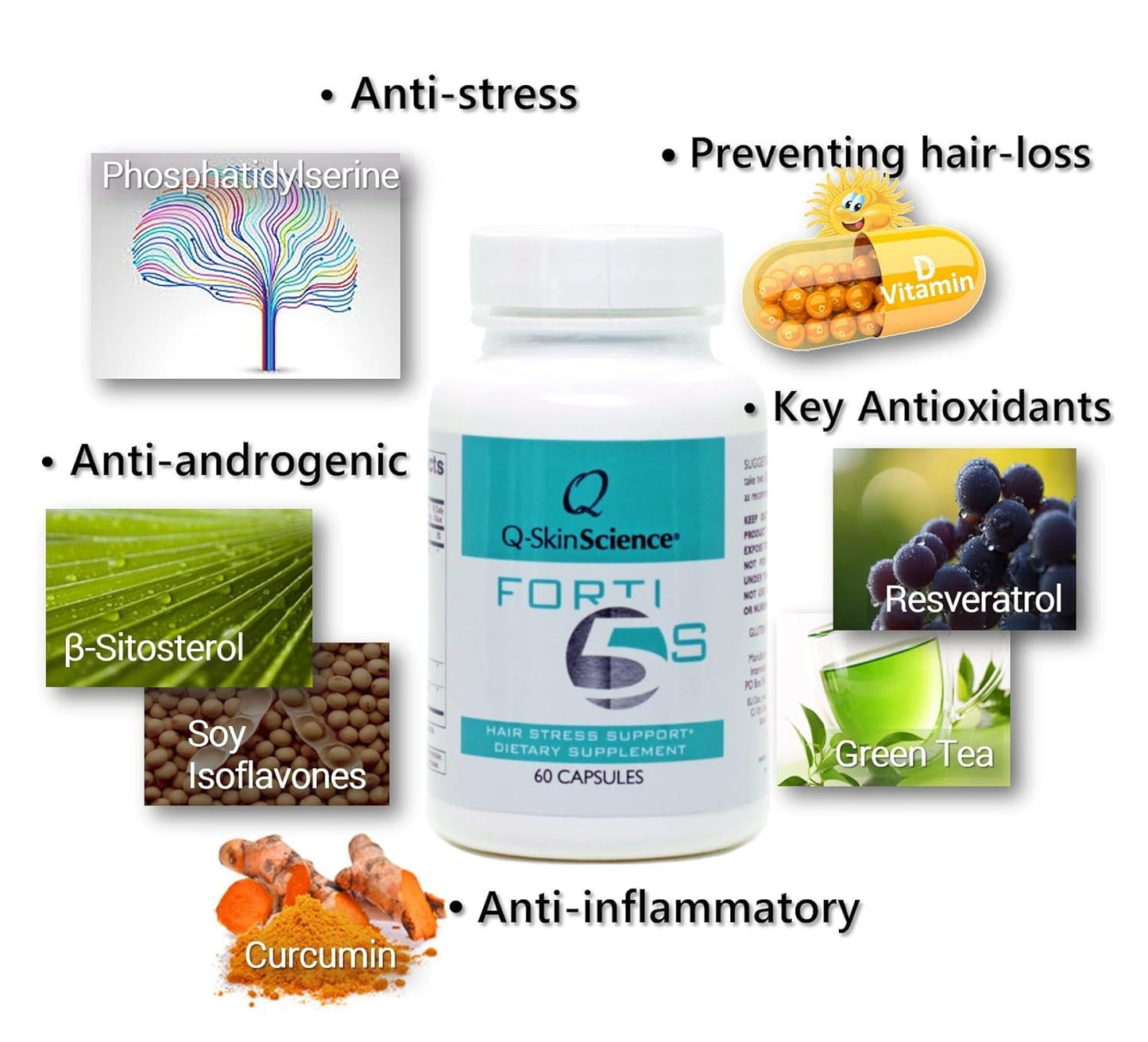 60 Count Quintessence Forti5-S Supplement for Immune Support and Energy Boost