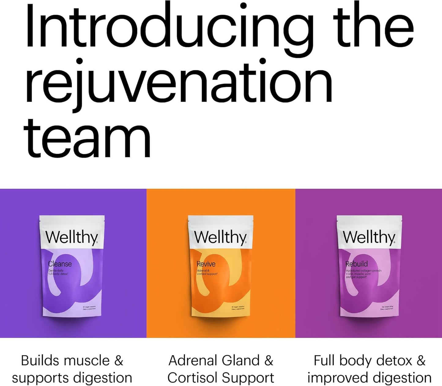 60 Count Wellthy Revive Stress Support Capsules for Energy Boost and Mental Wellness