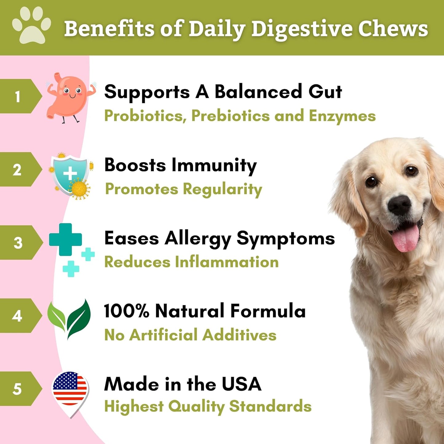 60 Count Wholistic Pet Organics Probiotic Chews for Dogs - Digestive Health Support with Dog Probiotics and Digestive Enzymes - Immune Supplement to Prevent Digestive Problems