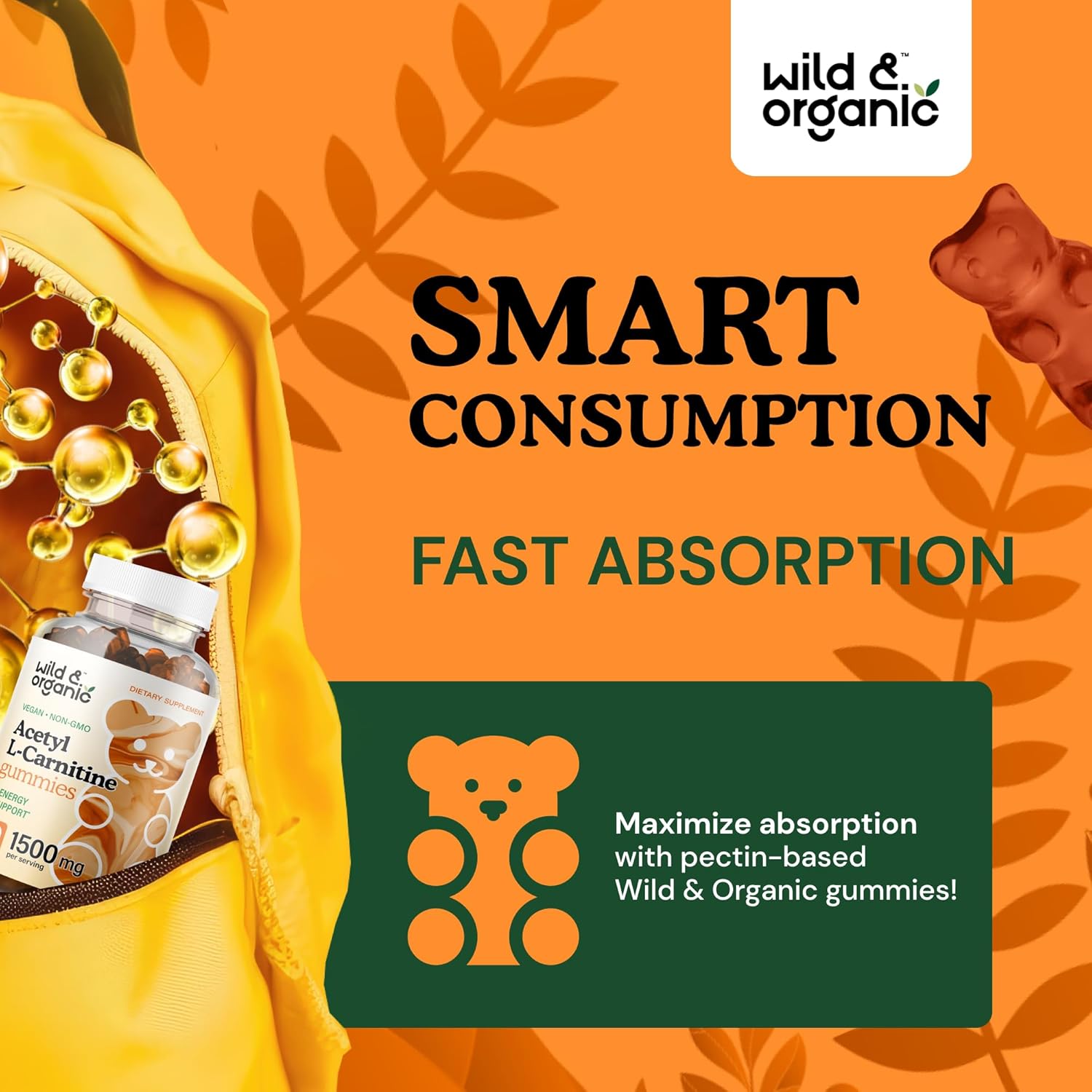 60 Count Wild & Organic L-Carnitine and CoQ10 Gummies for Enhanced Energy and Heart Health