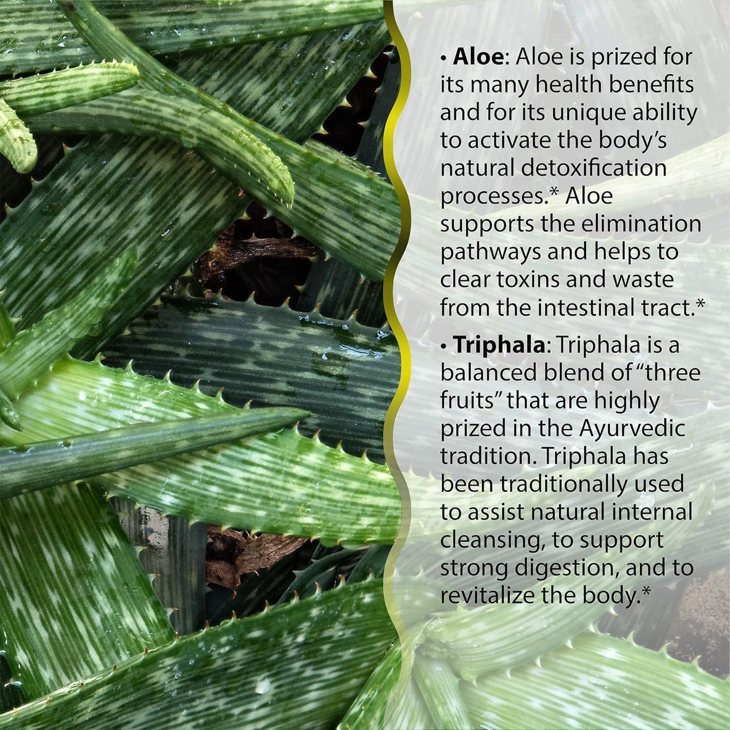 60 ct. Irwin Naturals Aloe & Triphala Active Cleanse with Probiotics for Gentle Digestive Support - Effective Detox & Elimination - Nourish & Balance - Includes Pill Case