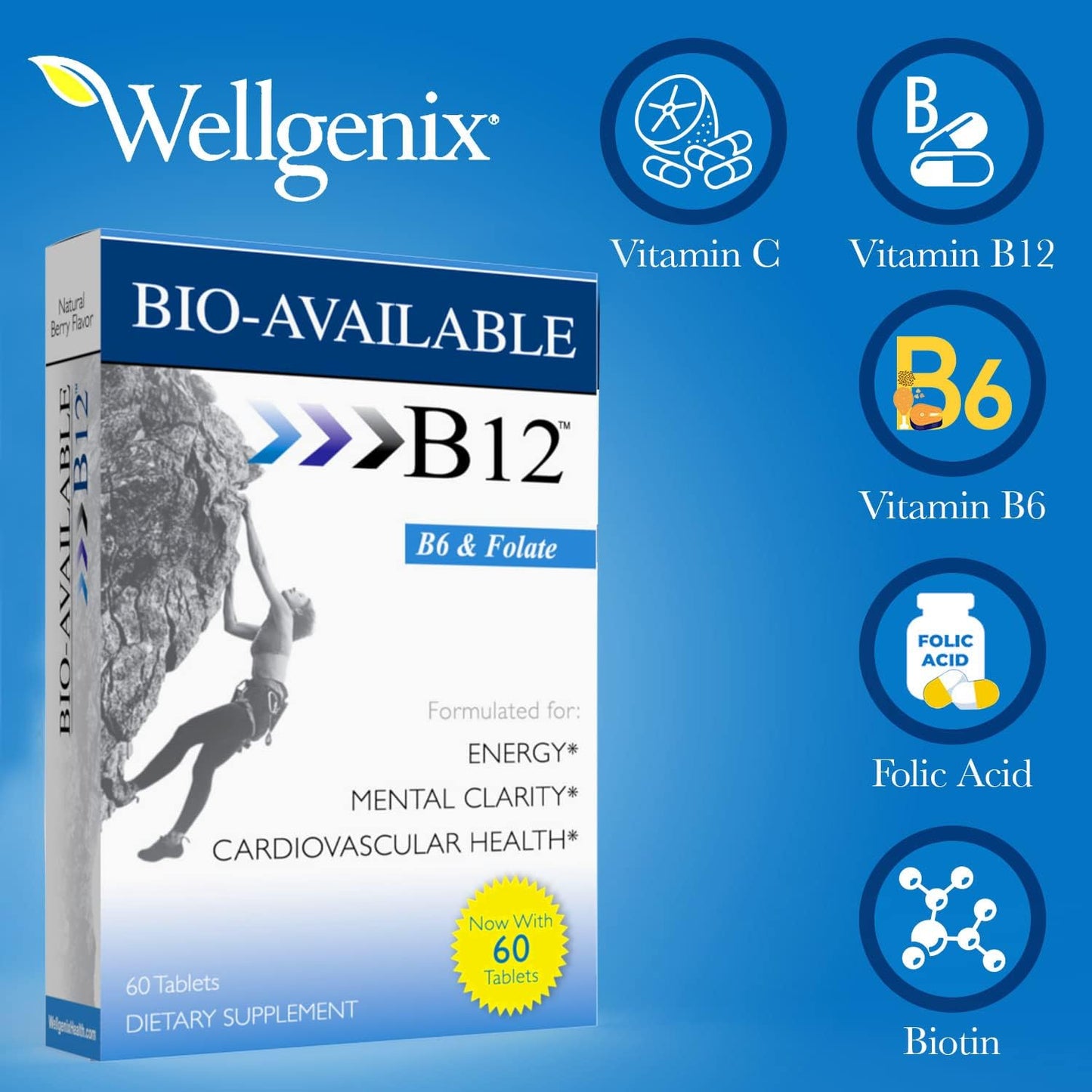 60 ct Wellgenix Bio Available Daily Multivitamins: Focus Support Formula with Methyl B12, B6, Folate & Biotin for Immune & Overall Health - Sublingual Energy & Diet Supplement