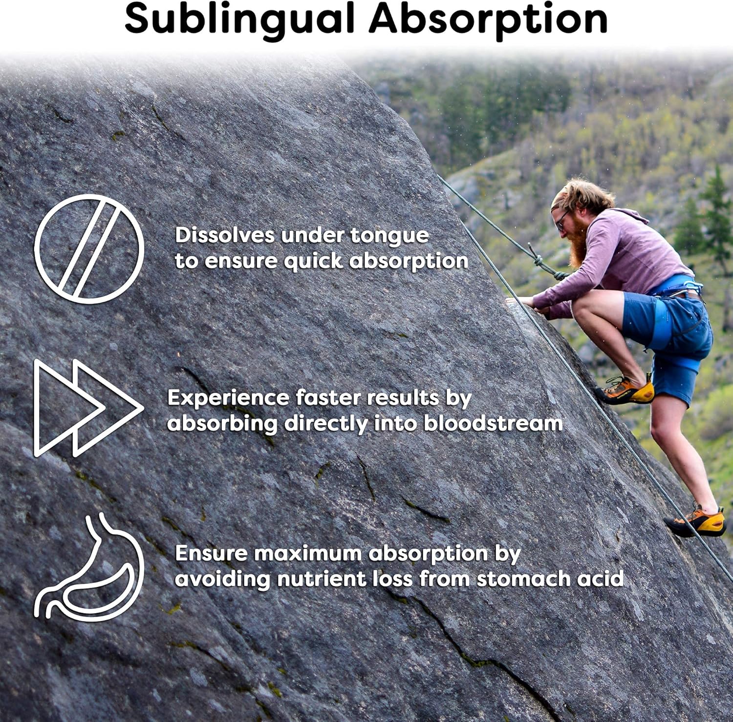 60 ct Wellgenix Bio Available Daily Multivitamins: Focus Support Formula with Methyl B12, B6, Folate & Biotin for Immune & Overall Health - Sublingual Energy & Diet Supplement