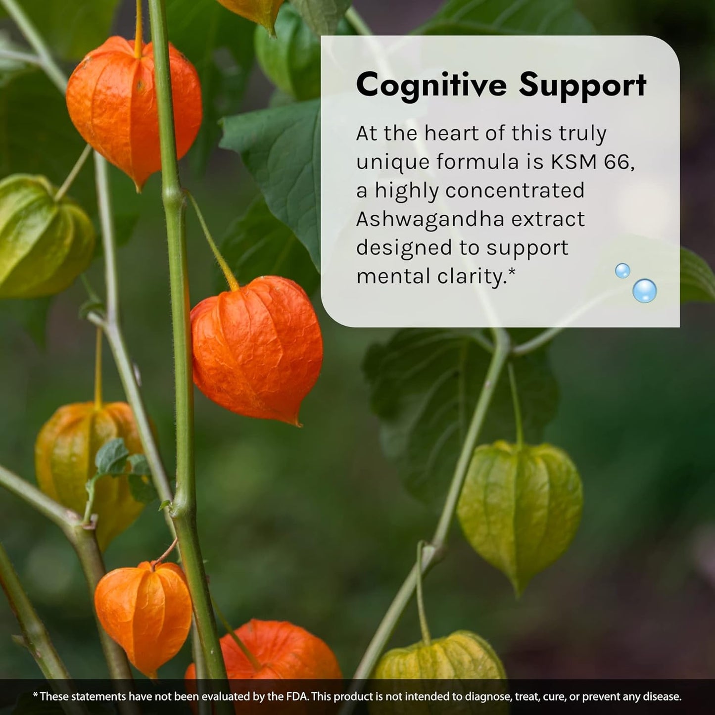 60 Liquid Softgels with Adaptogenic Herbs for Stress, Mood, and Performance, Including Ashwagandha, Cordyceps, and Turmeric