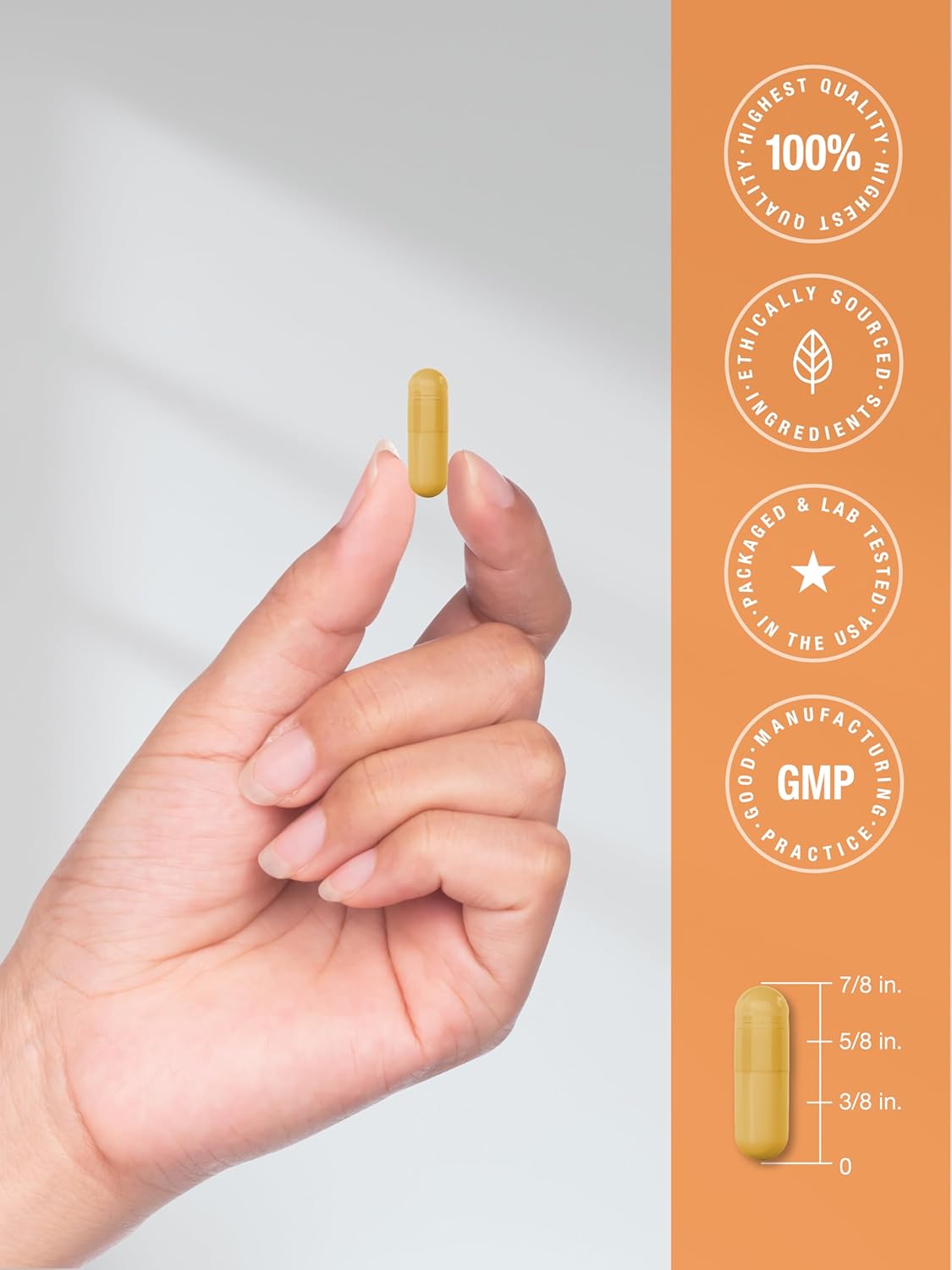 60 Quick Release Capsules Horbäach Vitamin B-100 Complex - Non-GMO & Gluten-Free Supplement