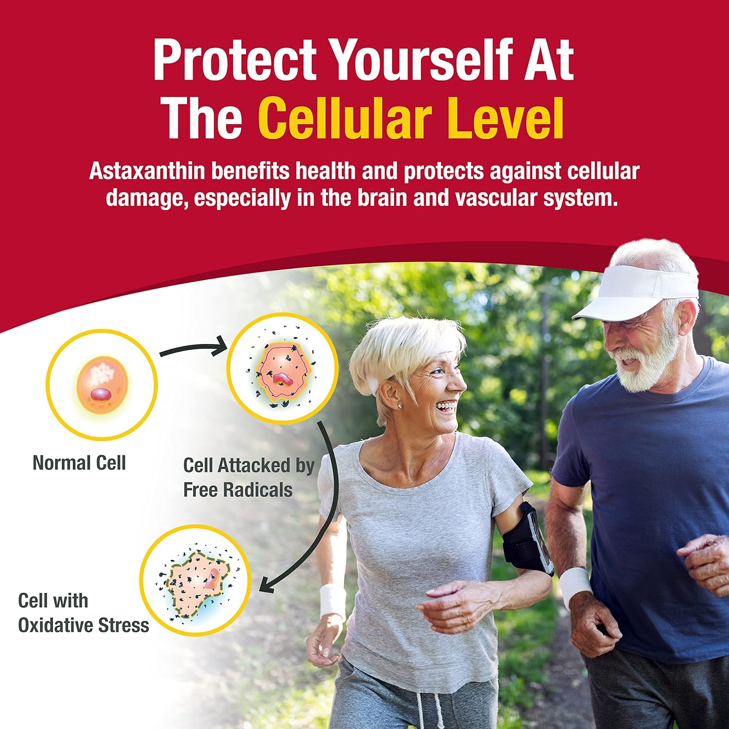 60 Softgel Astaxanthin Supplement for a Silver Lifestyle by AstaFactor