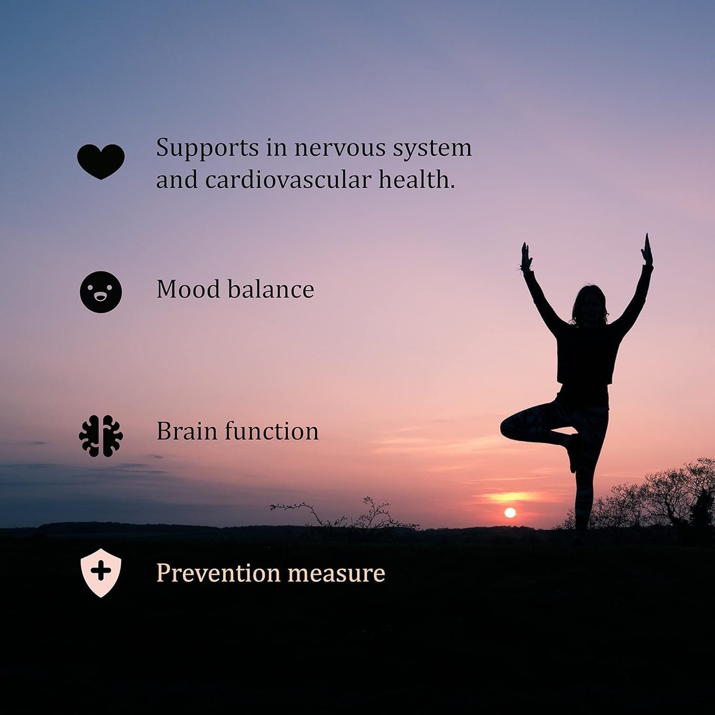 60 Tablets of SEDDS® BioFolate (L-Methylfolate) 15mg | Enhanced Absorption | Folic Acid Alternative | Non-GMO, Gluten Free | Made in USA