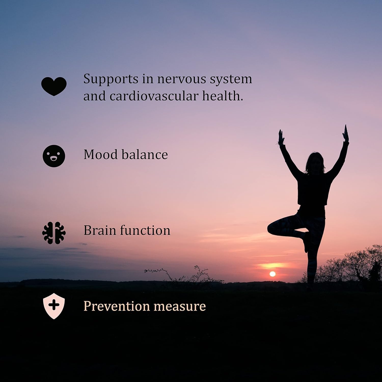 60 Tablets of SEDDS® BioFolate (L-Methylfolate) 15mg | Enhanced Absorption | Folic Acid Alternative | Non-GMO, Gluten Free | Made in USA