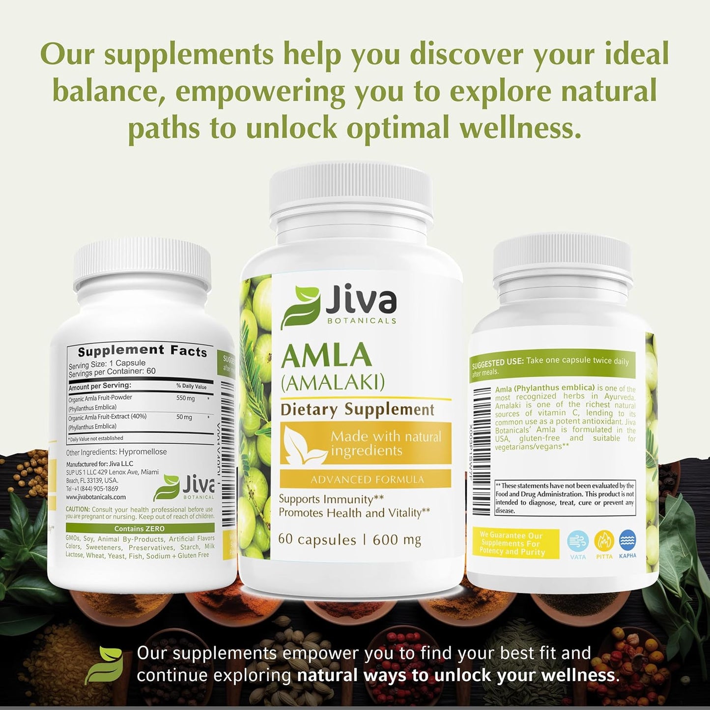 60 Vegan Amla Capsules by Jiva Botanicals - Amalaki Powder Supplement for Vitality - Indian Gooseberry Support