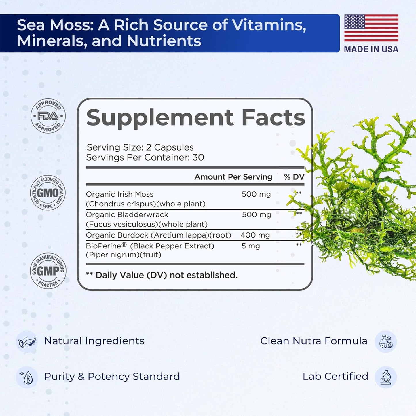60 Vegan Capsules of TIVA Nutraceutics Irish Sea Moss with Bladderwrack, Burdock Root & BioPerine for Immune Support, Energy Boost, and Gut Health