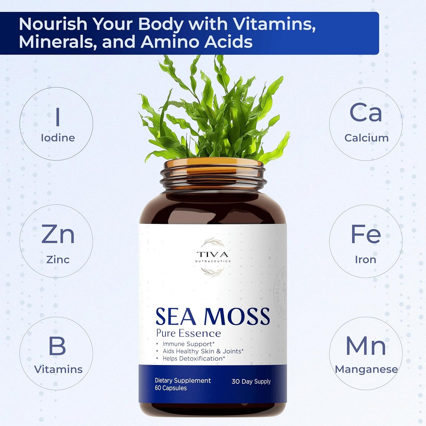 60 Vegan Capsules of TIVA Nutraceutics Irish Sea Moss with Bladderwrack, Burdock Root & BioPerine for Immune Support, Energy Boost, and Gut Health