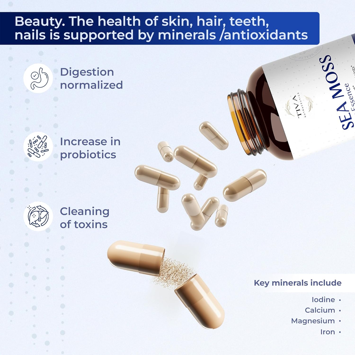 60 Vegan Capsules of TIVA Nutraceutics Irish Sea Moss with Bladderwrack, Burdock Root & BioPerine for Immune Support, Energy Boost, and Gut Health