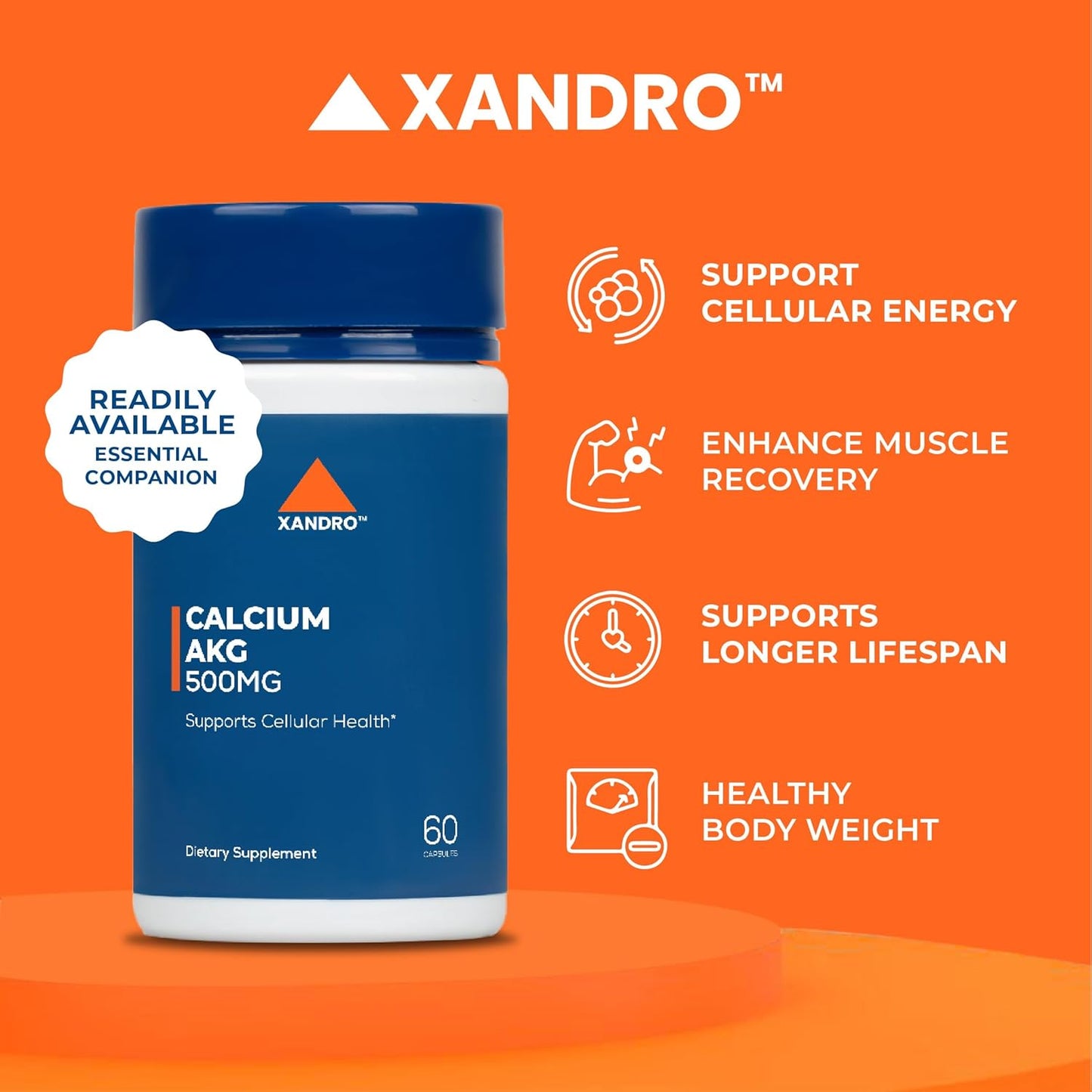 60 Vegan Capsules of XANDRO Calcium AKG 500 mg for Optimal Cellular Health