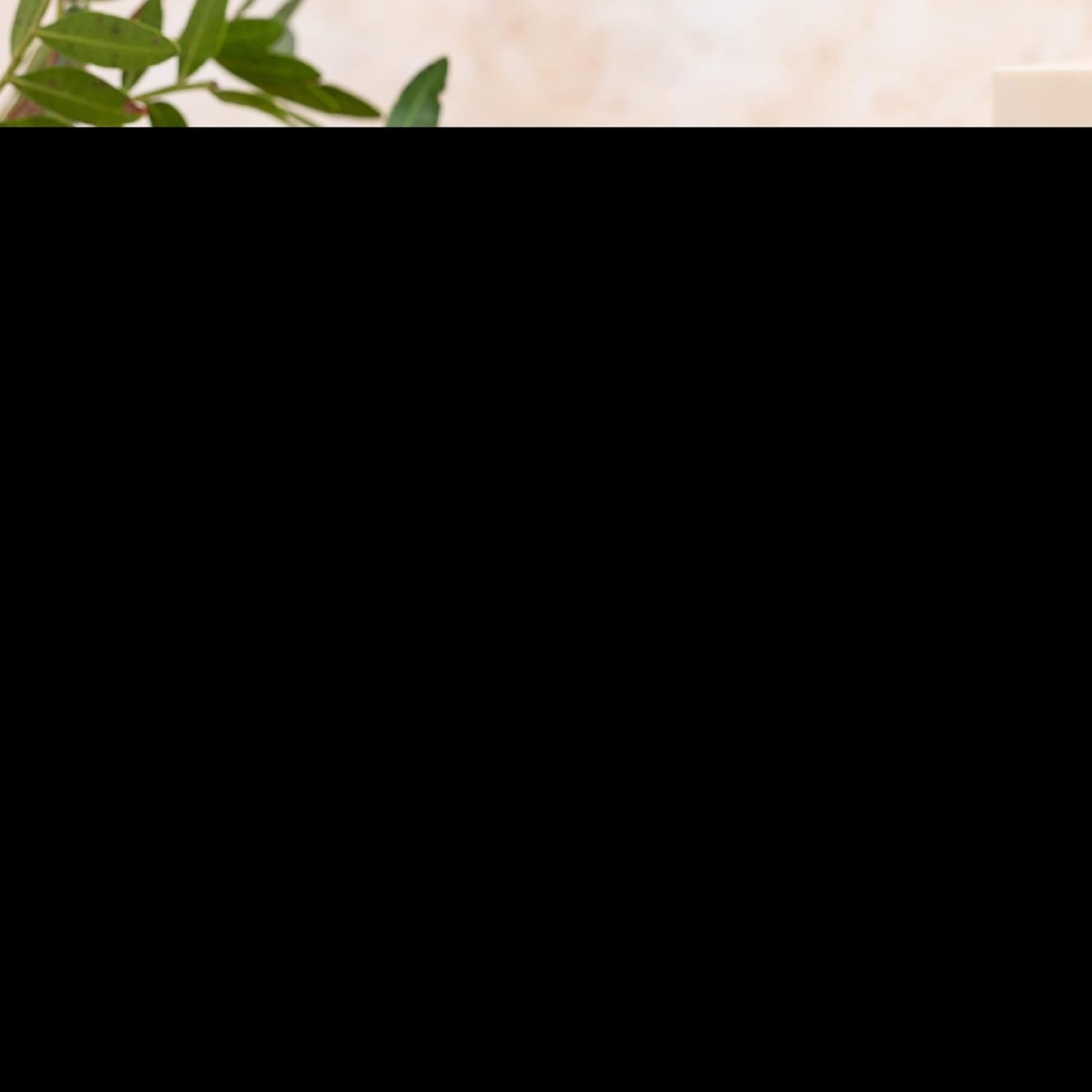 60 VegCaps of Nature's Sunshine Ashwagandha Supplement for Natural Stress Relief and Anxiety Support