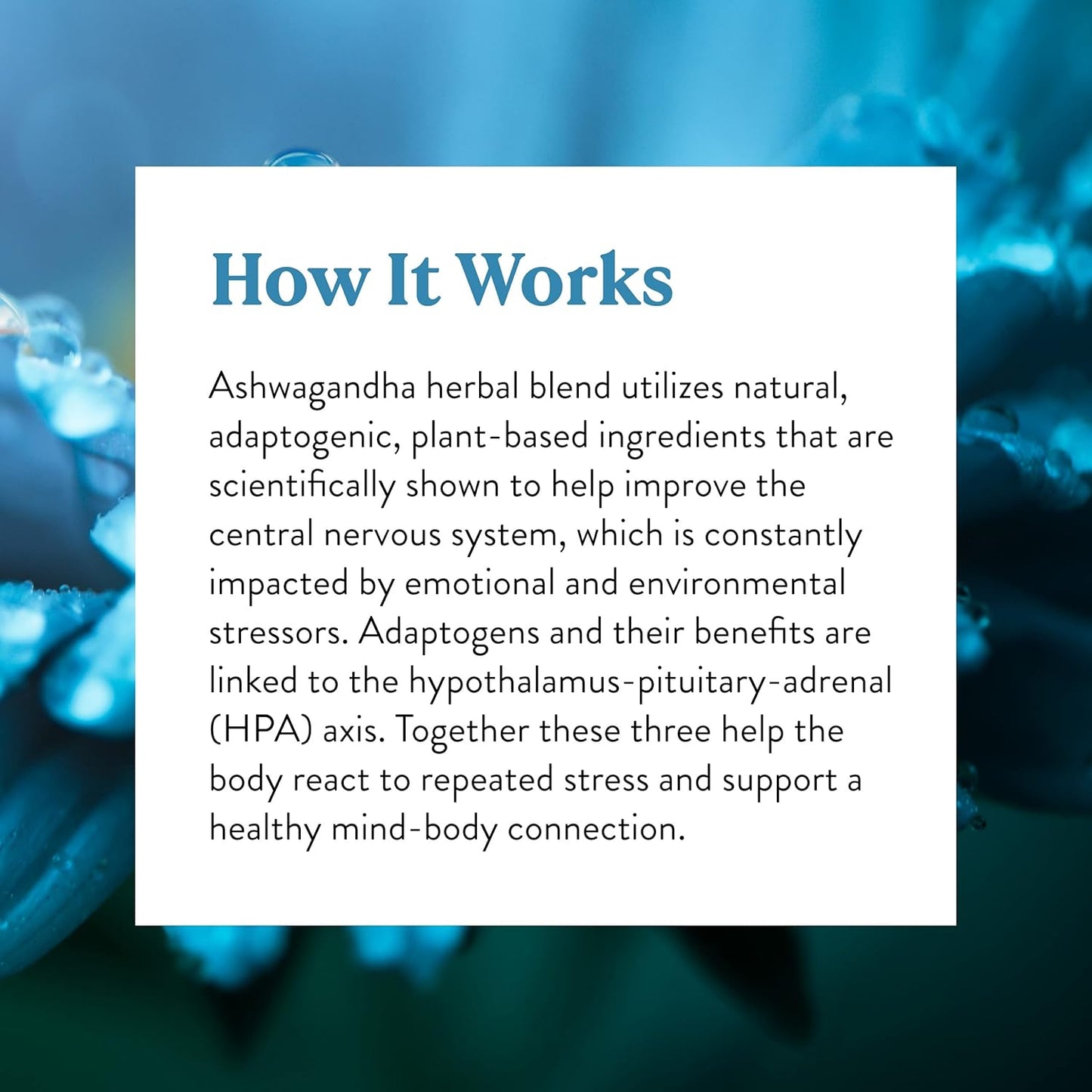 60 VegCaps of Nature's Sunshine Ashwagandha Supplement for Natural Stress Relief and Anxiety Support