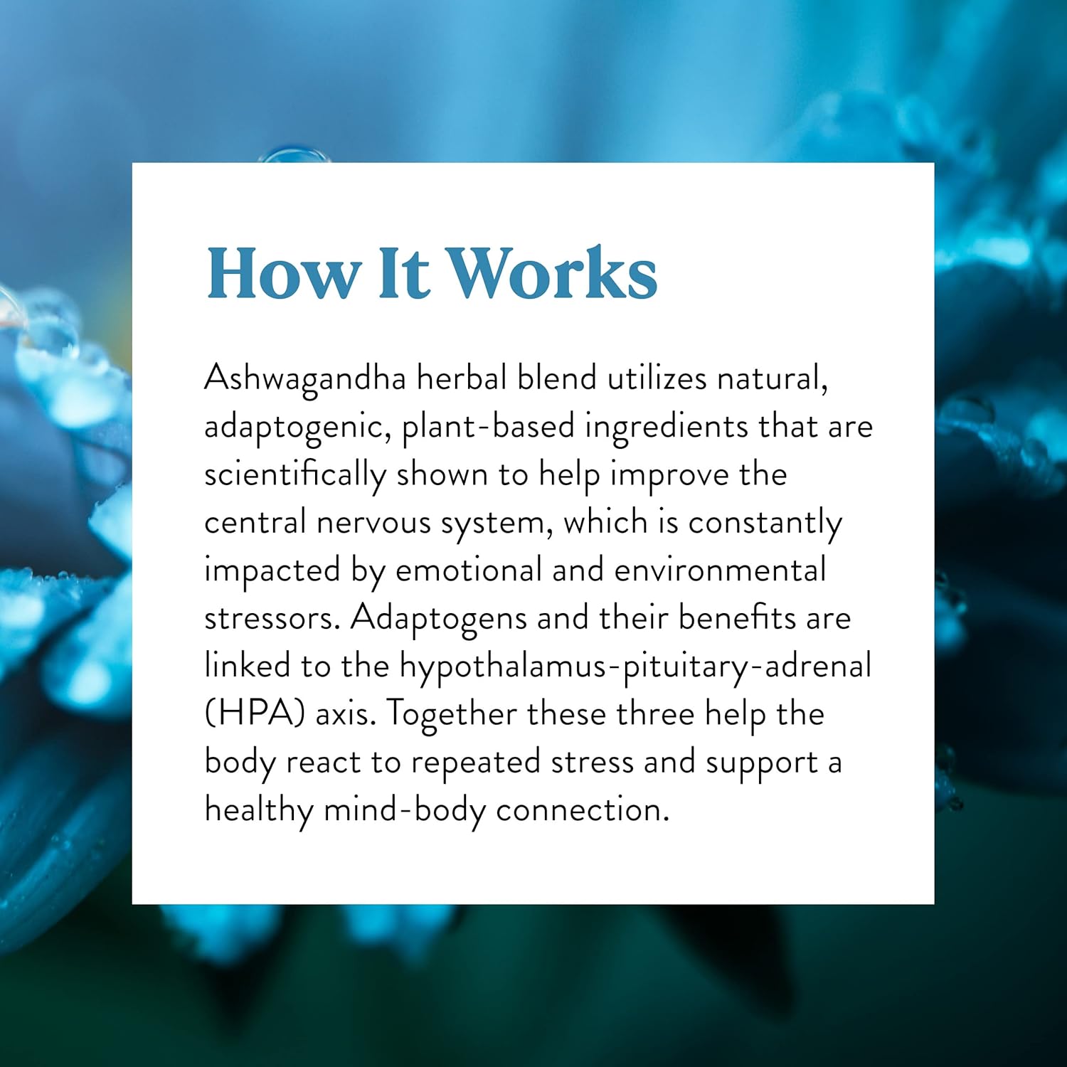 60 VegCaps of Nature's Sunshine Ashwagandha Supplement for Natural Stress Relief and Anxiety Support