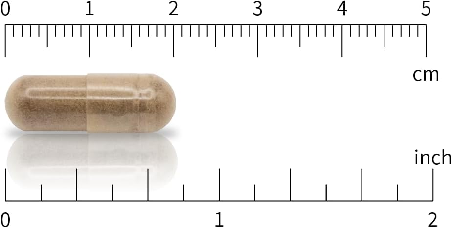 6000mg Strength CBI Natural Ashwagandha 12:1 Extract, 120 Vegan Capsules for 4 Months