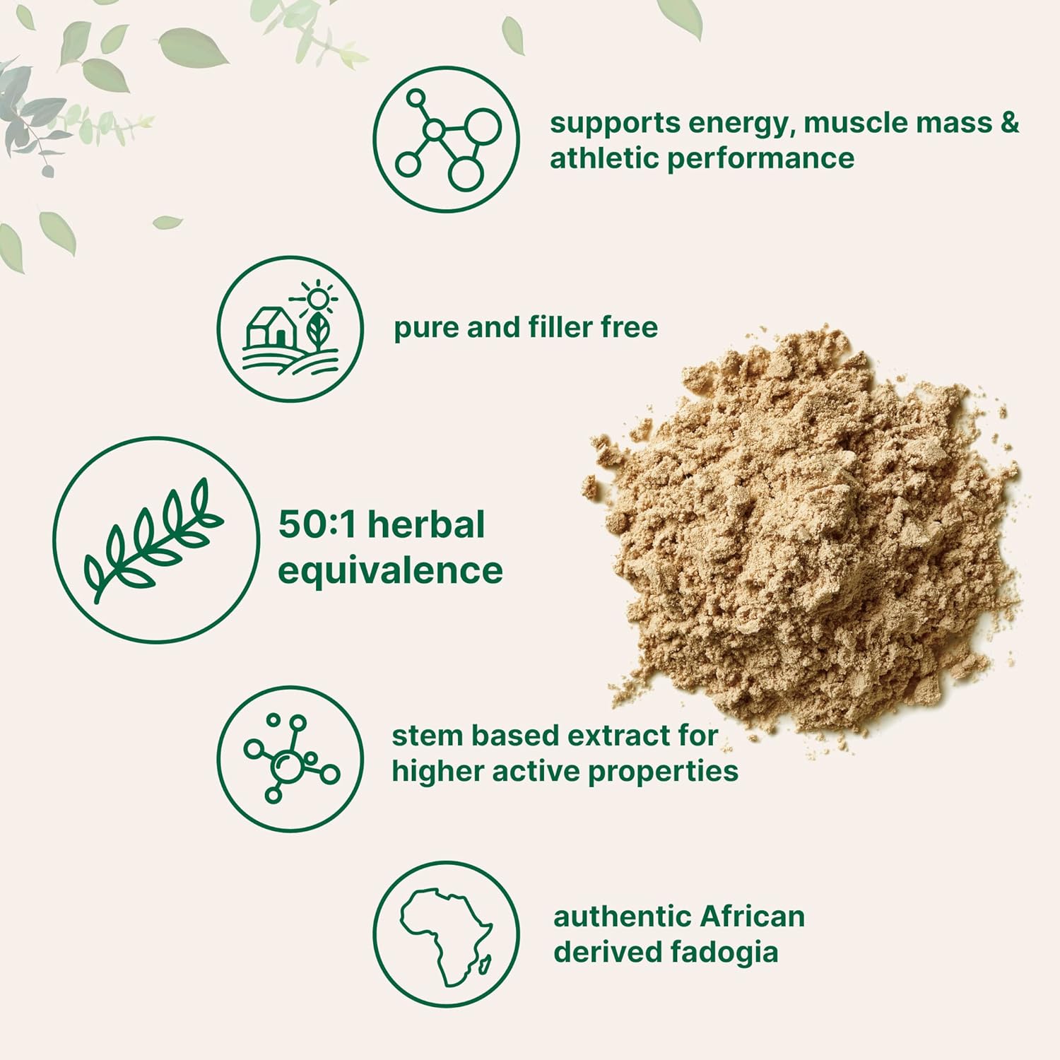 600mg Fadogia Agrestis Extract Powder - 4oz - USA Third Party Tested - Maximum Strength - Non-GMO & Gluten Free - BoostGo Australia