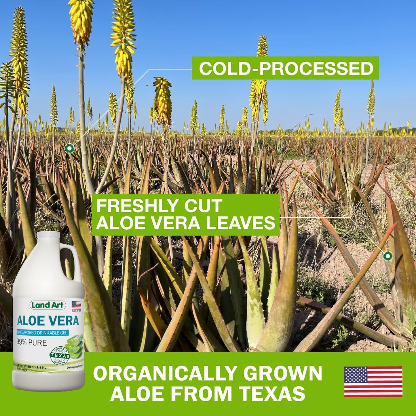 64 fl oz Land Art Pure Aloe Vera Drinkable Gel + 16 fl oz Liquid Chlorophyll Mint Flavored