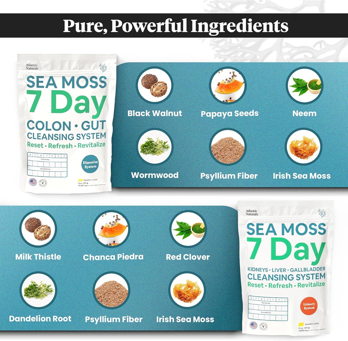 7-Day Full Body Cleanse Detox Bundle with Atlantic Naturals Sea Moss, Psyllium Husk, Senna Powder, Kidney, Liver, Gallbladder Support, Pineapple Drink Mix