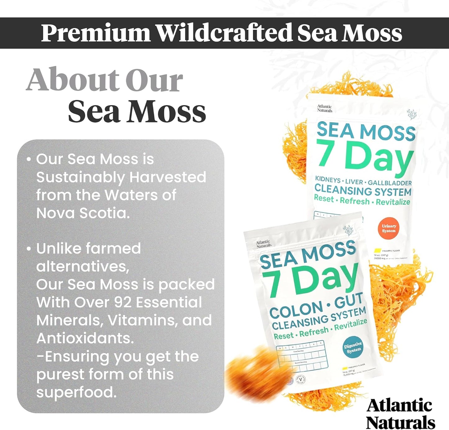 7-Day Full Body Cleanse Detox Bundle with Atlantic Naturals Sea Moss, Psyllium Husk, Senna Powder, Kidney, Liver, Gallbladder Support, Pineapple Drink Mix