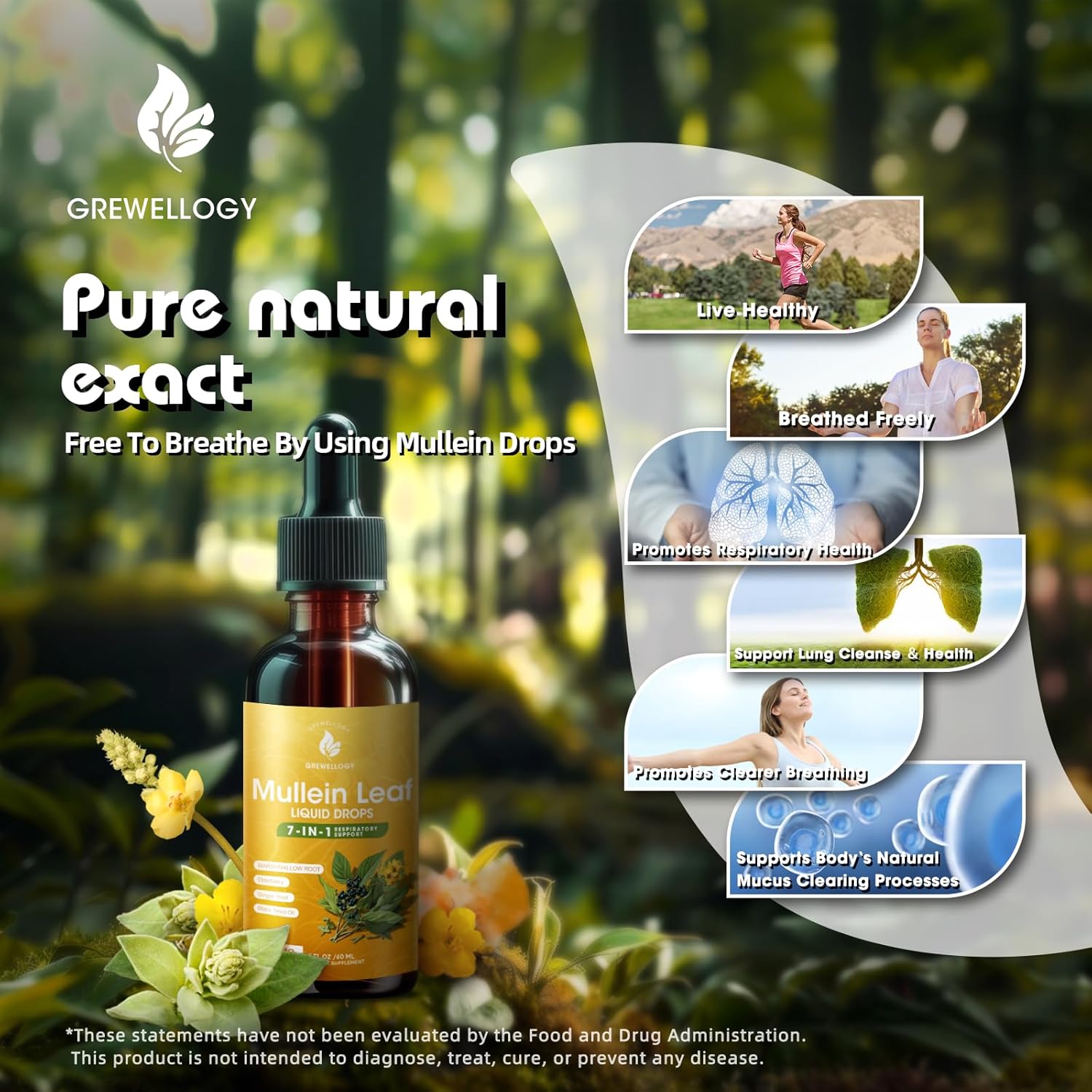 7-in-1 1500mg Mullein Leaf Liquid Extract Drops for Lung Cleanse and Respiratory Support, 2 Fl Oz - Smokers Lung Detox Formula