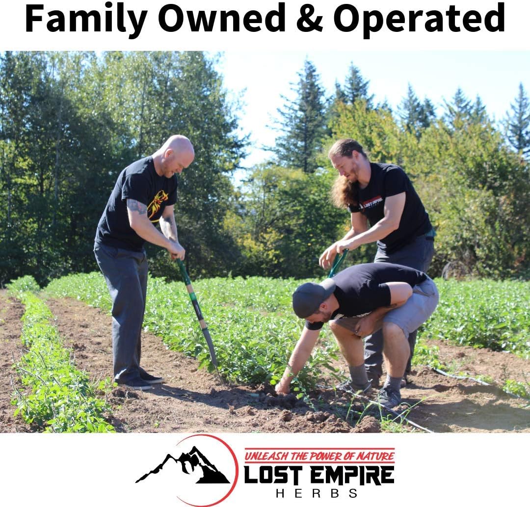 7 Medicinal Mushroom Spagyric Tincture Blend - Reishi, Turkey Tail, Maitake, Shiitake, Lion's Mane, Artist Conk, Chaga - 1 fl oz