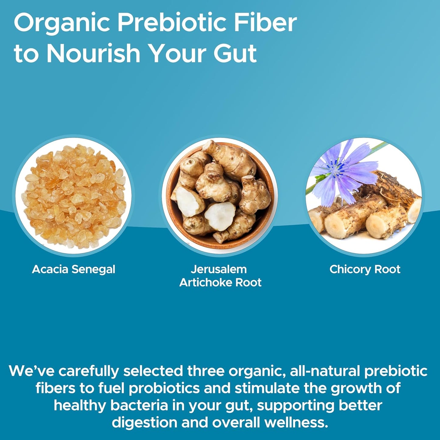 70 Billion CFU Men's Probiotic with 8 Strains, Selenium, & Prebiotics - Supports Digestive, Microbiome, Colon & Immune Health - 30ct