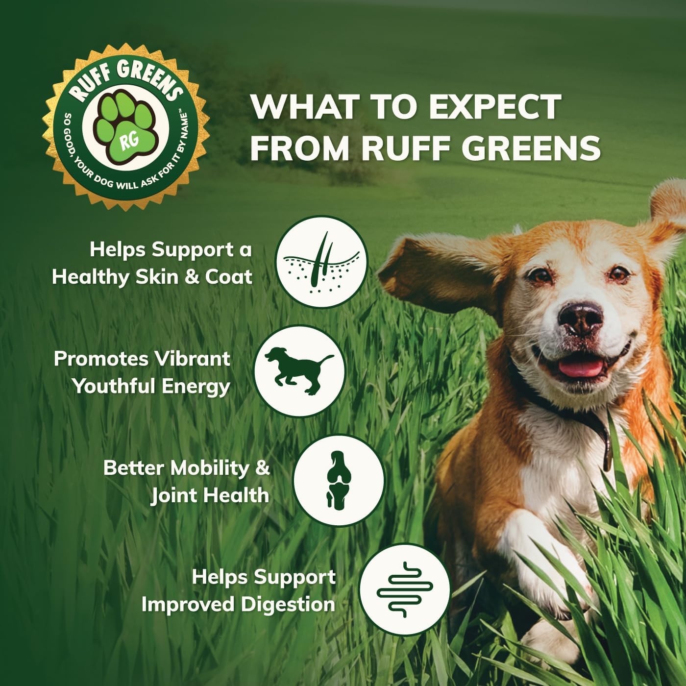 7.4 oz Ruff Greens K9 VitaSmart Supplement for Dogs - Nutritional Vitamin & Mineral Support - BoostGo Australia