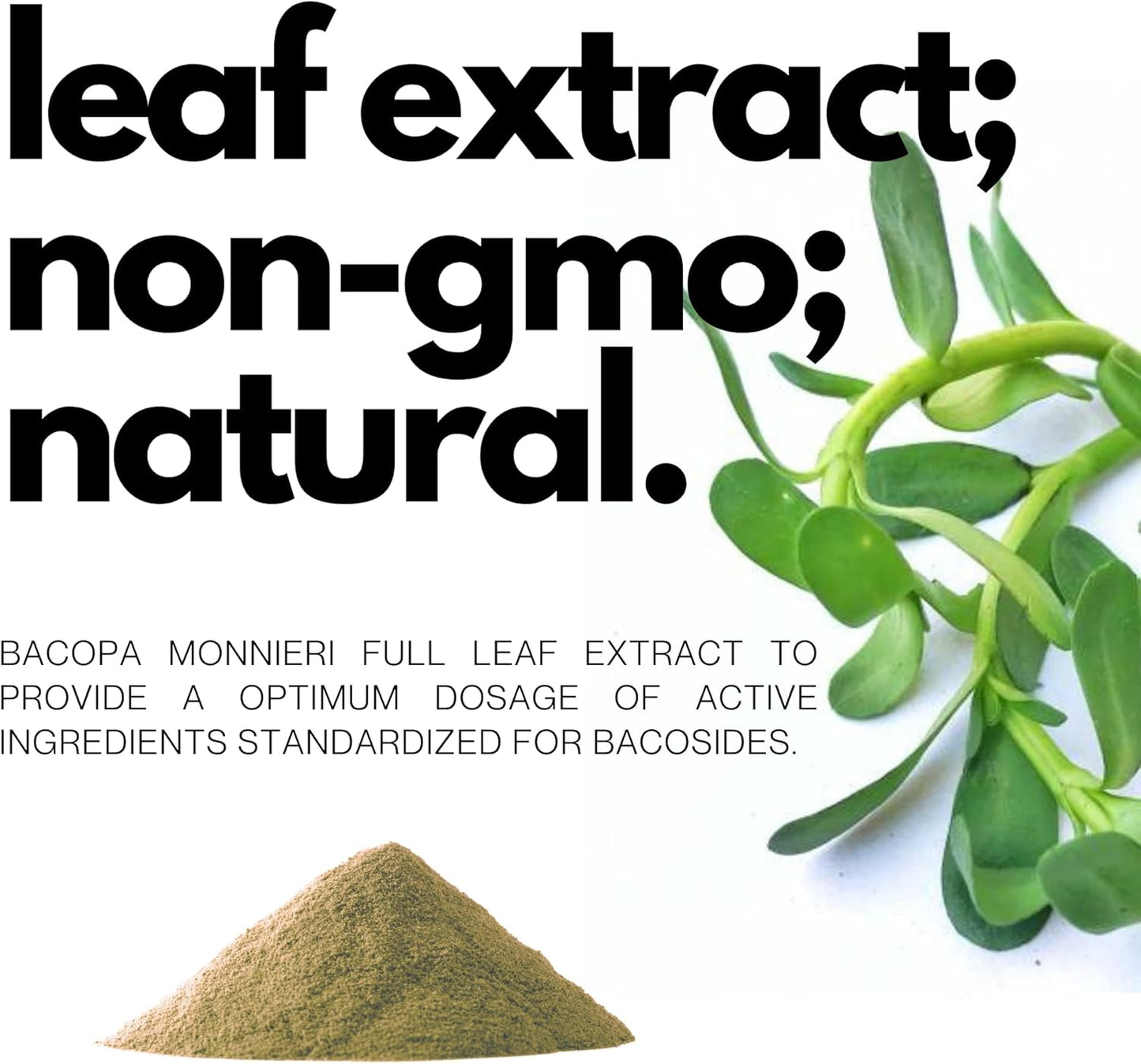 750mg Bacopa Monnieri Capsules - 40% Bacosides - Herbal Supplement - 60 Capsules by FOLIUS LABS