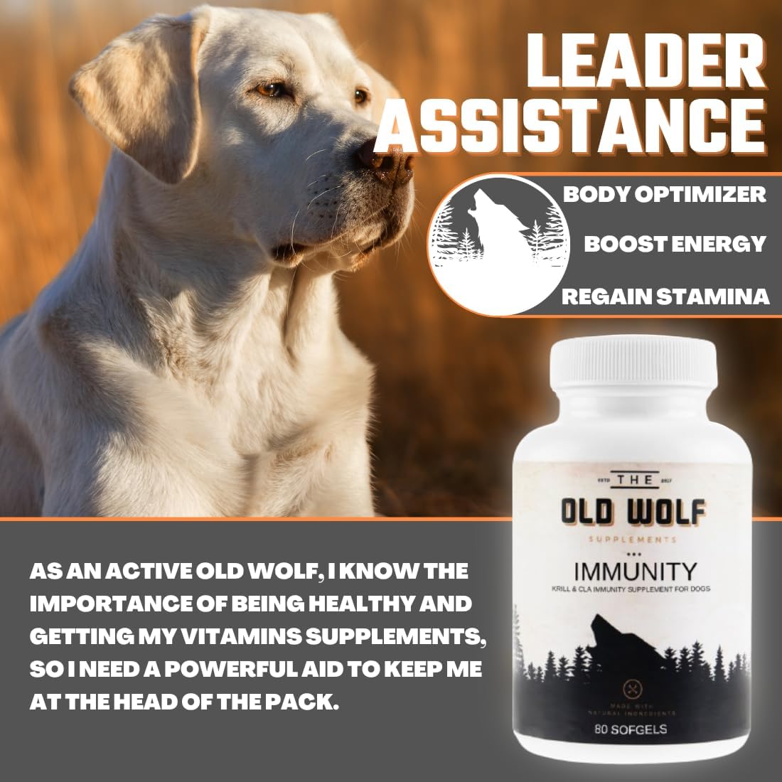 8-in-1 Multivitamin for Dogs with Probiotics, Vitamin for Skin & Coat, Immune Health - Krill & CLA 80 Soft Gels
