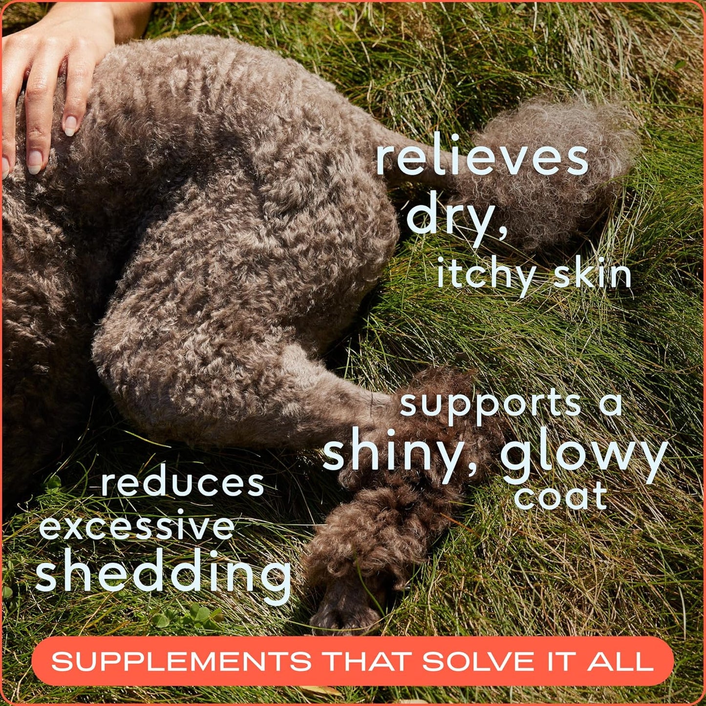 8 oz Native Pet Omega 3 Fish Oil with Wild Alaskan Salmon Oil for Dogs - Supports Skin, Mobility - Liquid Pump for Puppies