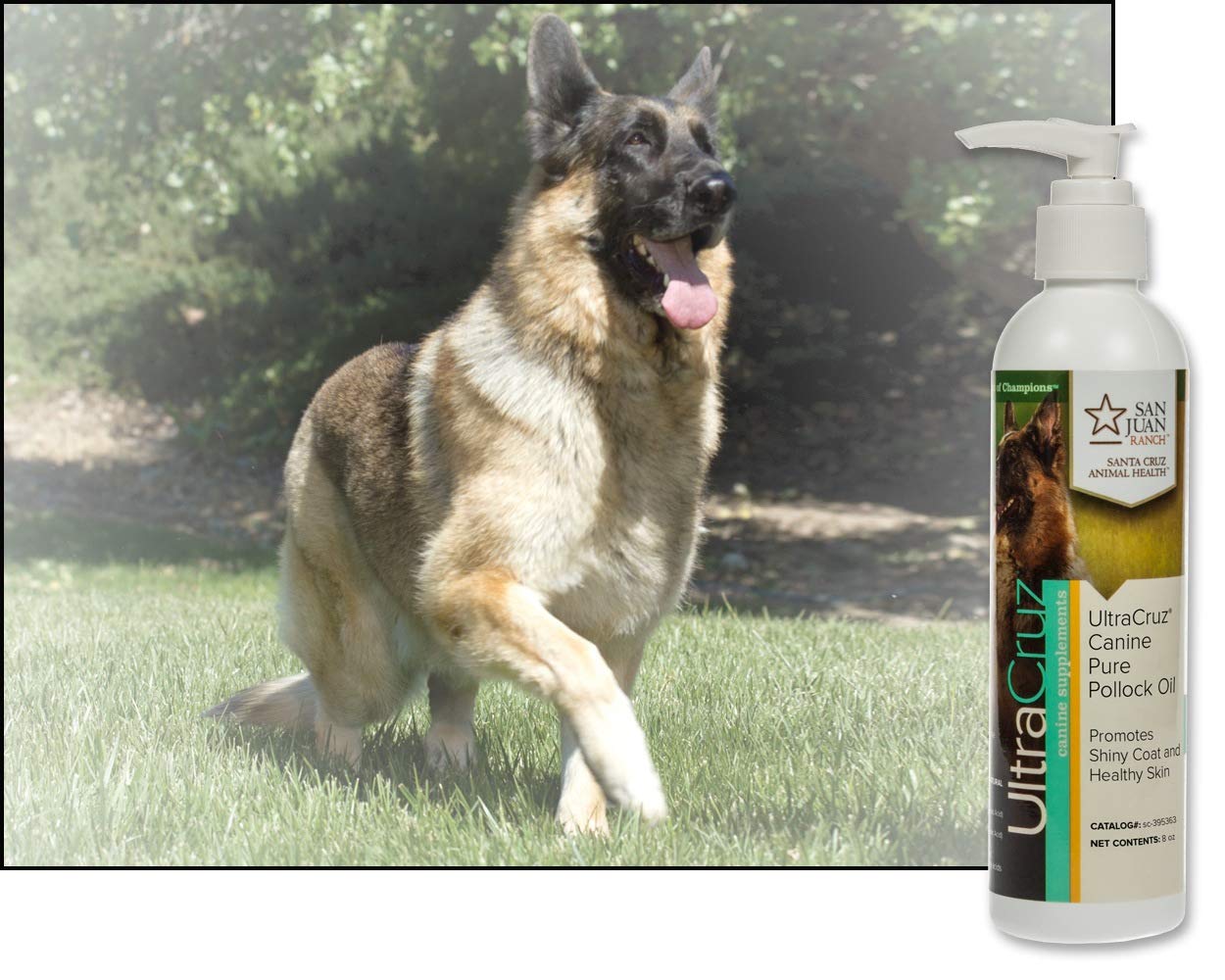 8 oz UltraCruz Canine Pure Pollock Oil Supplement for Dogs - sc-395363