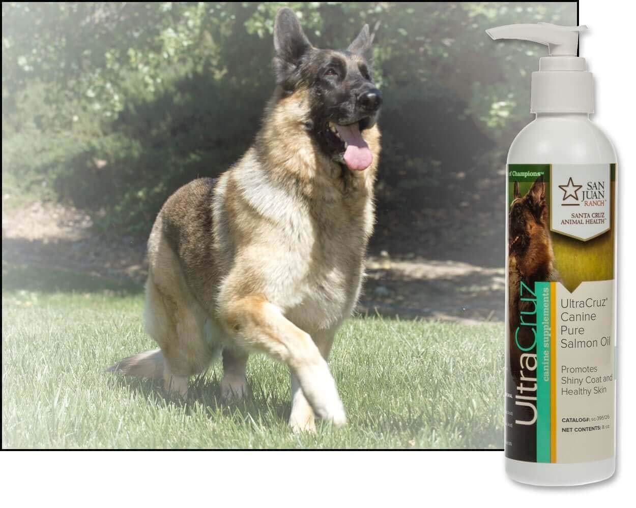 8 oz UltraCruz Canine Pure Salmon Oil Supplement for Dogs - sc-395126