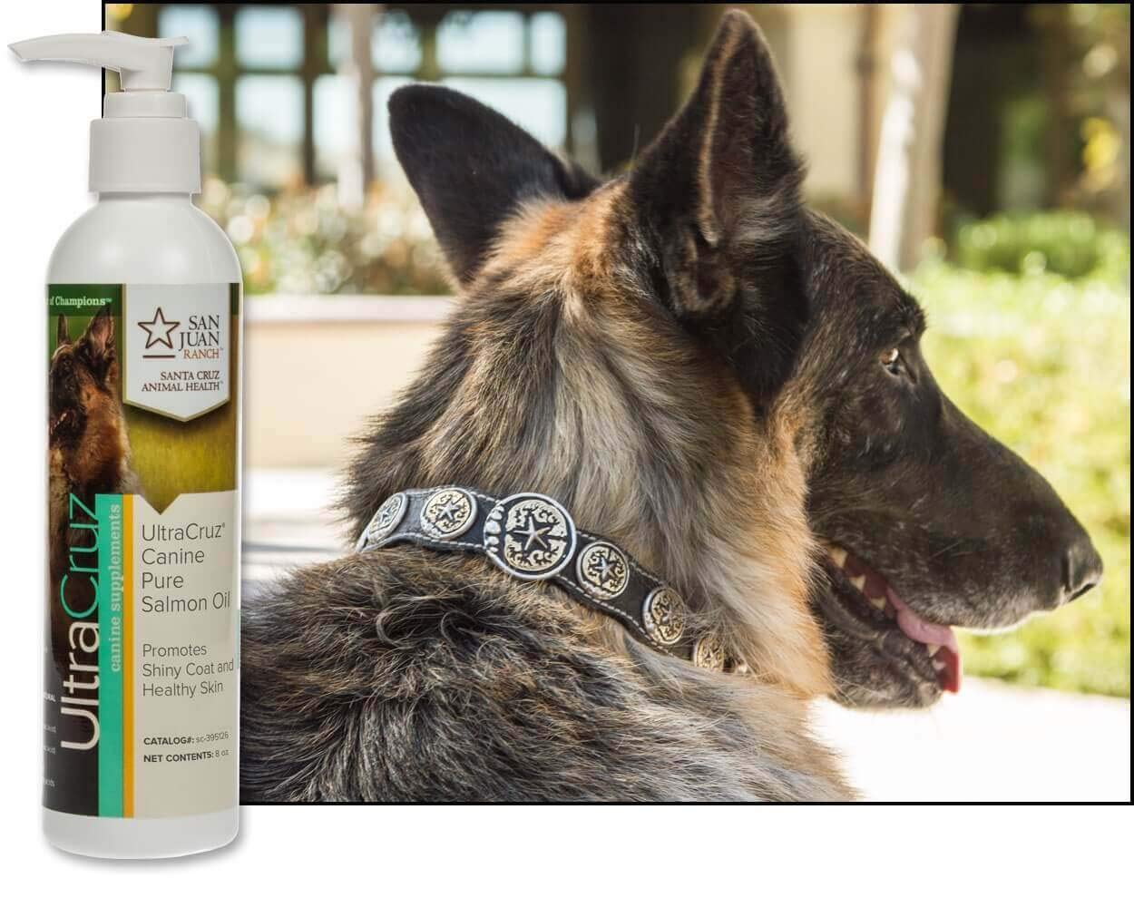 8 oz UltraCruz Canine Pure Salmon Oil Supplement for Dogs - sc-395126
